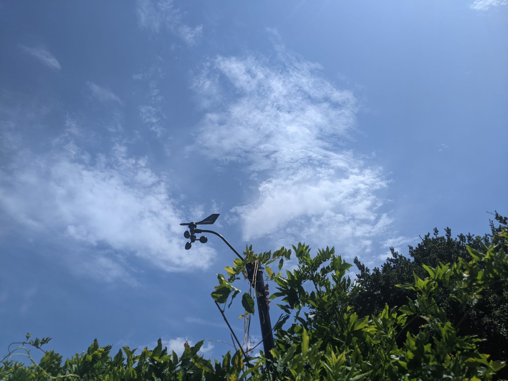 Wind sensor